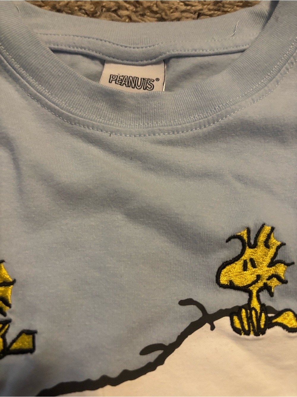 Peanuts Light Blue Snoopy & Woodstock Short Sleeve Tee - Picture 2 of 3